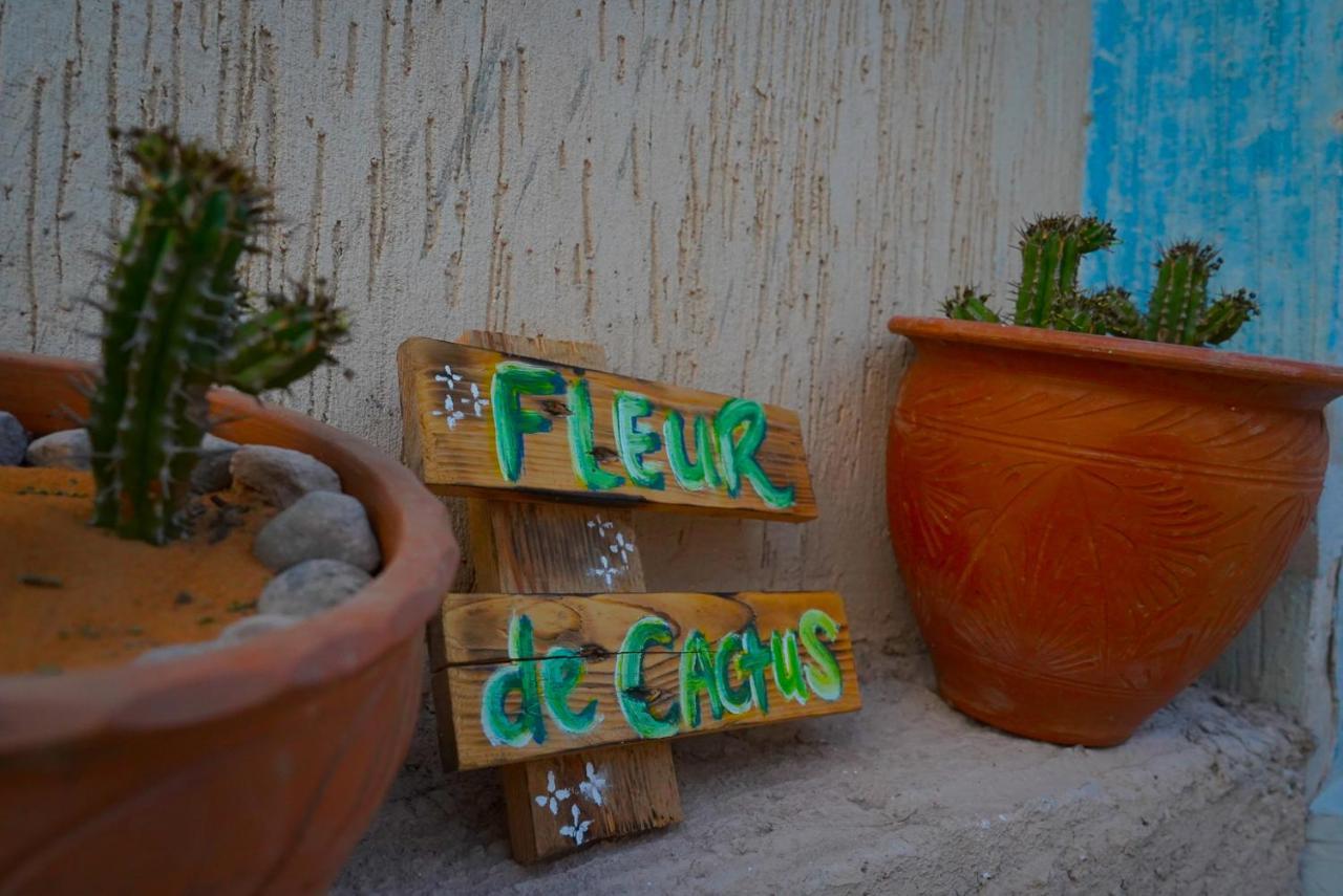 Fleur De Cactus, Guesthouse, Tamraght Εξωτερικό φωτογραφία